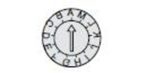 FRONT AM DIA 4