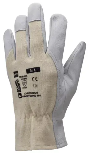Gant EUROSTRONG 850