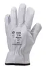 Gants maîtrise tout fleur vachette standard T08