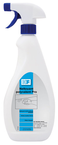 Nettoyant anti-taches Pro 6X750ML FR
